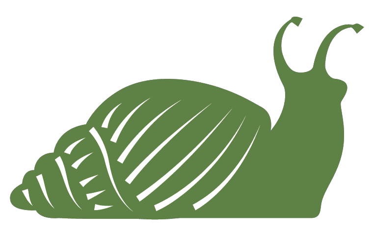 Green snail consulting logo
